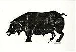 Robert Hammerstiel (*1933) : Schwein. - Holzschnitt, 1998
